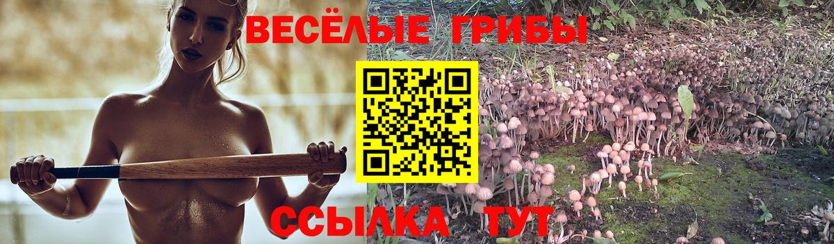 Кропоткин  Псилоцибиновые грибы прущие грибы  Вход с VPN 