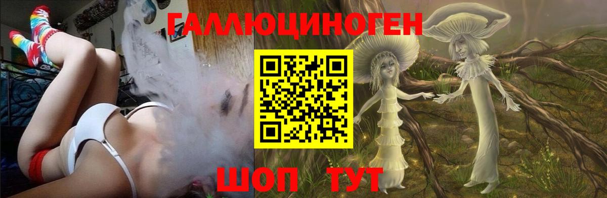 Псилоцибиновые грибы MAGIC MUSHROOMS Кропоткин